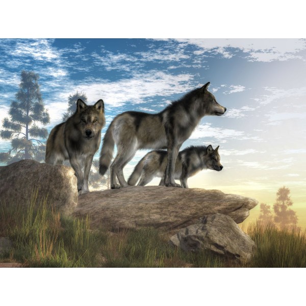 Lupo 5d Diy Kit Diamond Painting Pittura Di Diamante NO2619