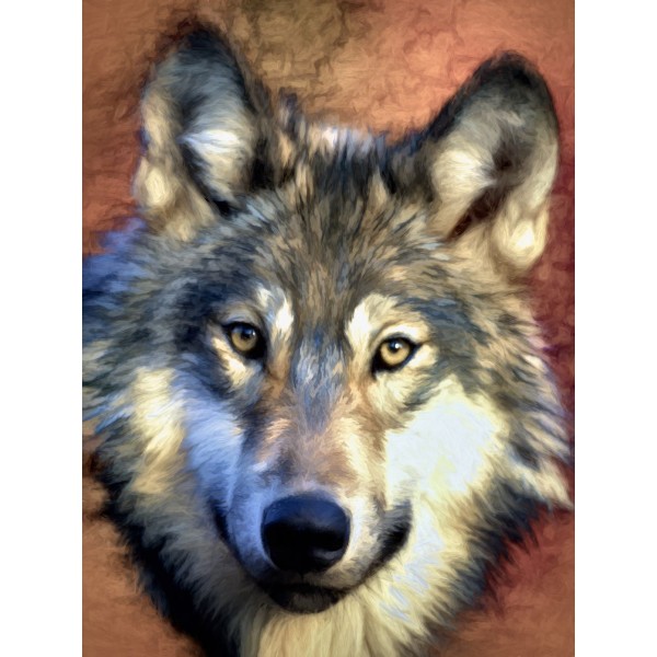 Lupo 5d Diy Kit Diamond Painting Pittura Di Diamante NO2613