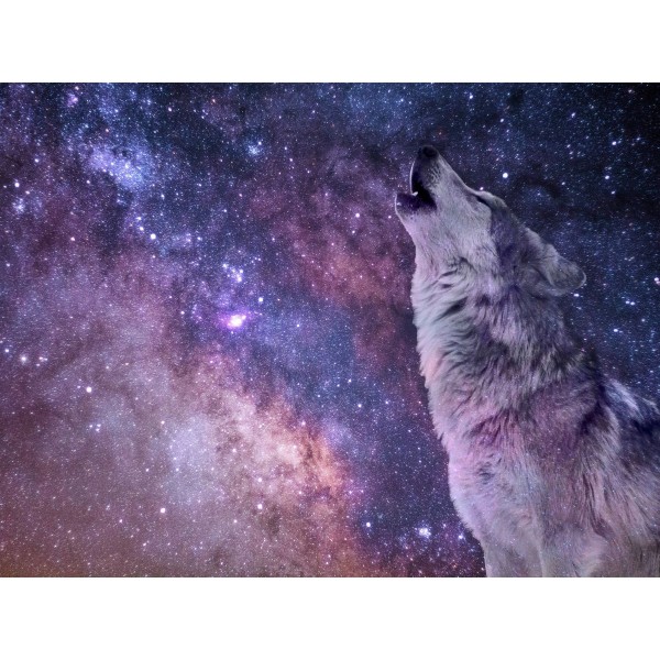 Lupo 5d Diy Kit Diamond Painting Pittura Di Diamante NO2612