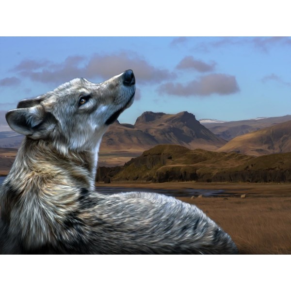 Lupo 5d Diy Kit Diamond Painting Pittura Di Diamante NO2610