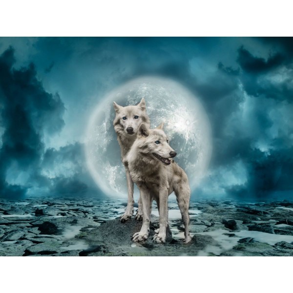 Lupo 5d Diy Kit Diamond Painting Pittura Di Diamante NO2607