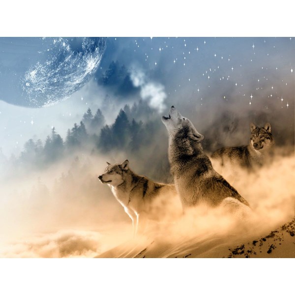 Lupo 5d Diy Kit Diamond Painting Pittura Di Diamante NO2602