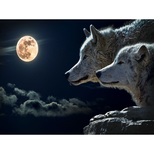 Lupo 5d Diy Kit Diamond Painting Pittura Di Diamante NO2601