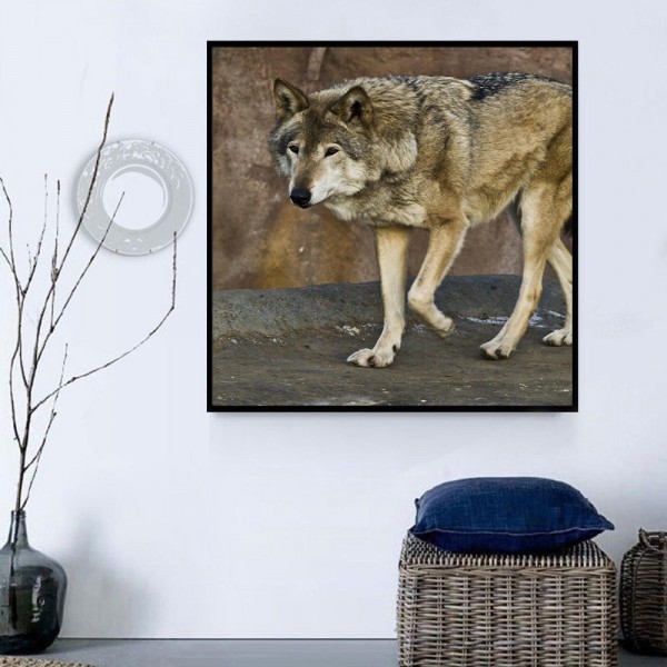 Lupo 5d Diy Kit Diamond Painting Pittura Di Diamante NO2589
