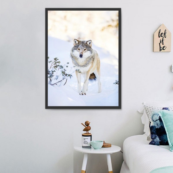 Lupo 5d Diy Kit Diamond Painting Pittura Di Diamante NO2578