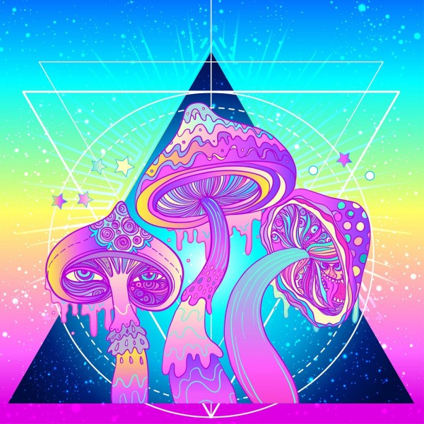 Sogno 5d Diy Kit Diamond Painting Pittura Di Diamante NO2555