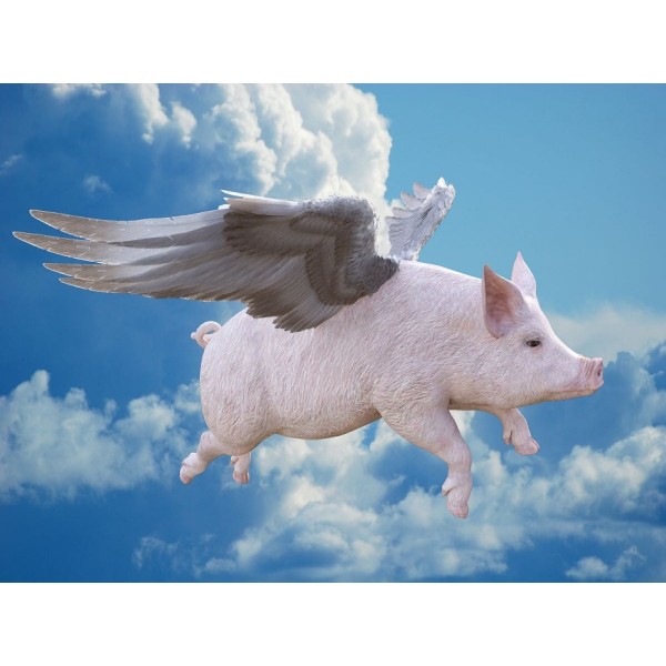 Sogno 5d Diy Kit Diamond Painting Pittura Di Diamante NO2529