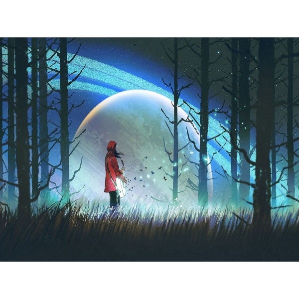 Sogno 5d Diy Kit Diamond Painting Pittura Di Diamante NO2526