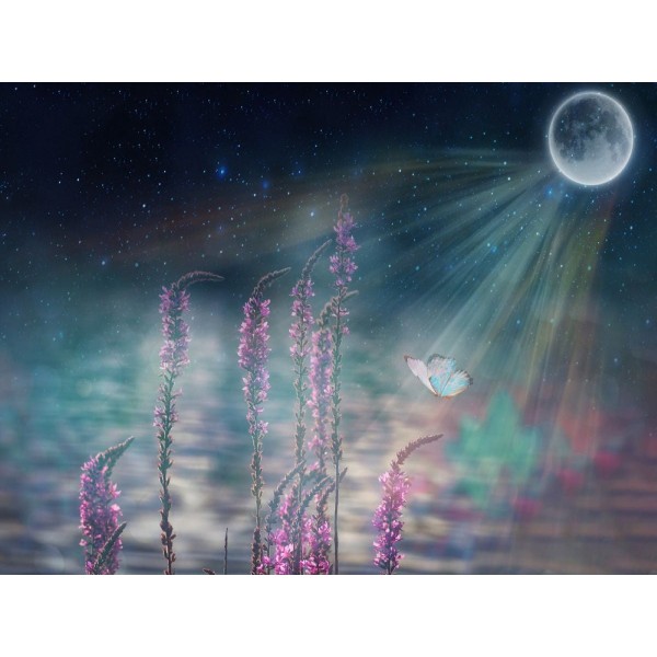 Sogno 5d Diy Kit Diamond Painting Pittura Di Diamante NO2523