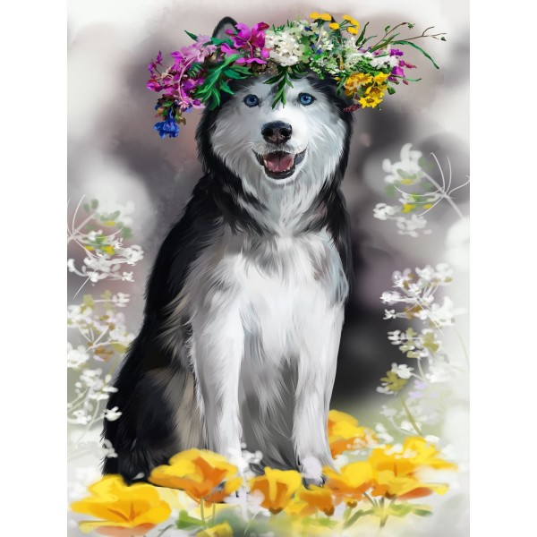 Cani 5d Diy Kit Diamond Painting Pittura Di Diamante NO2400