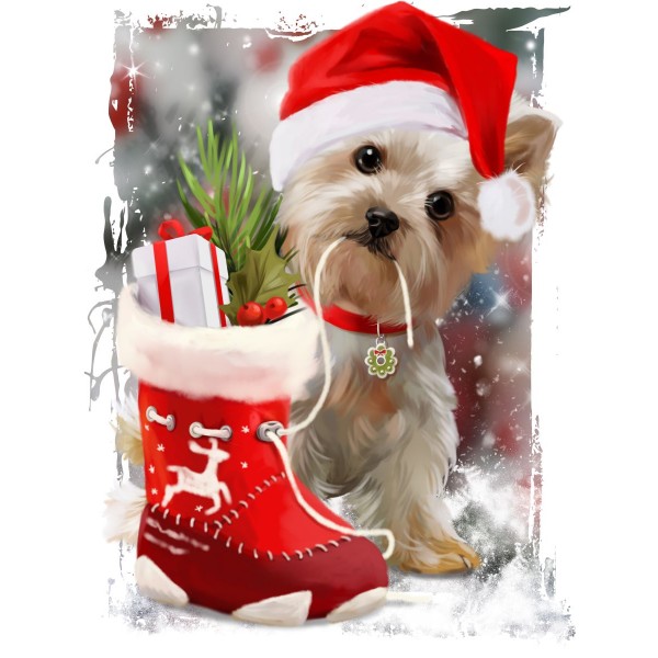 Cani 5d Diy Kit Diamond Painting Pittura Di Diamante NO2398