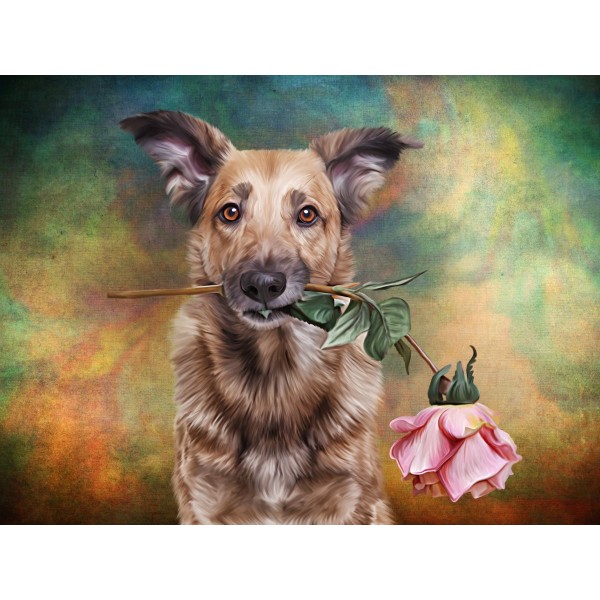 Cani 5d Diy Kit Diamond Painting Pittura Di Diamante NO2396