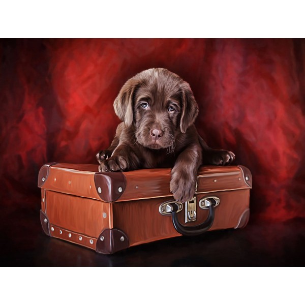 Cani 5d Diy Kit Diamond Painting Pittura Di Diamante NO2394