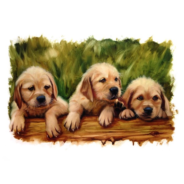 Cani 5d Diy Kit Diamond Painting Pittura Di Diamante NO2393