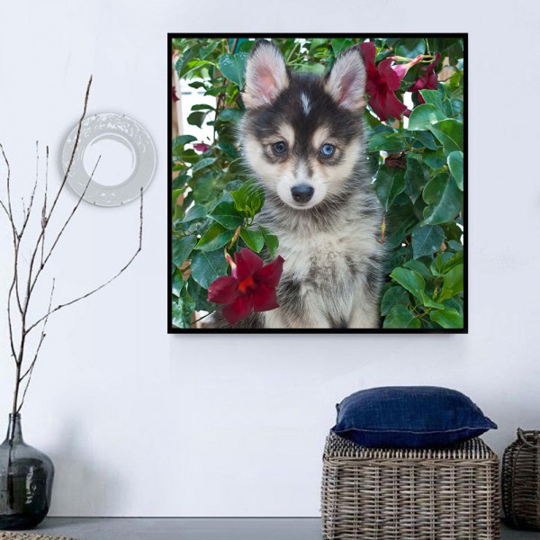 Cani 5d Diy Kit Diamond Painting Pittura Di Diamante NO2390