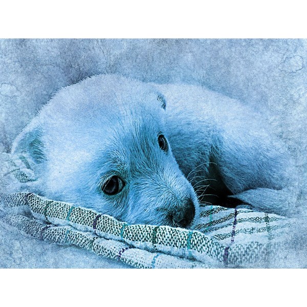 Cani 5d Diy Kit Diamond Painting Pittura Di Diamante NO2387