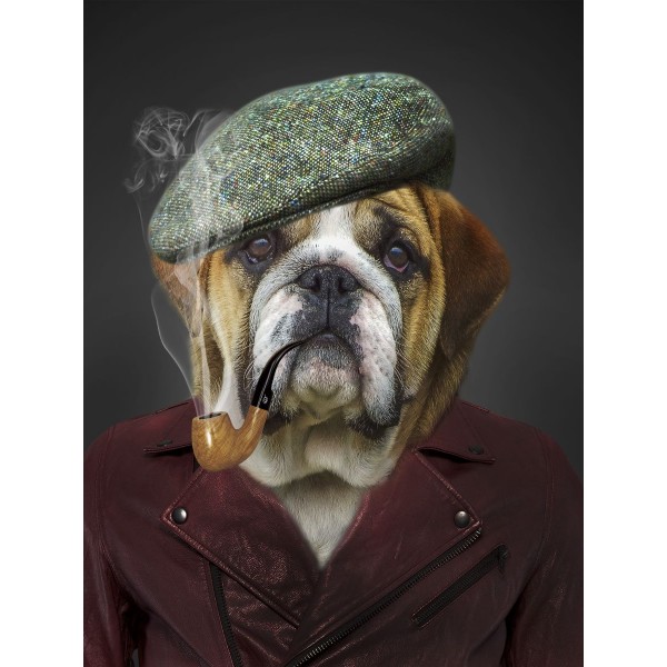 Cani 5d Diy Kit Diamond Painting Pittura Di Diamante NO2385