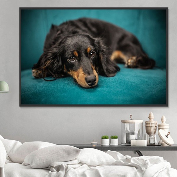 Cani 5d Diy Kit Diamond Painting Pittura Di Diamante NO2386