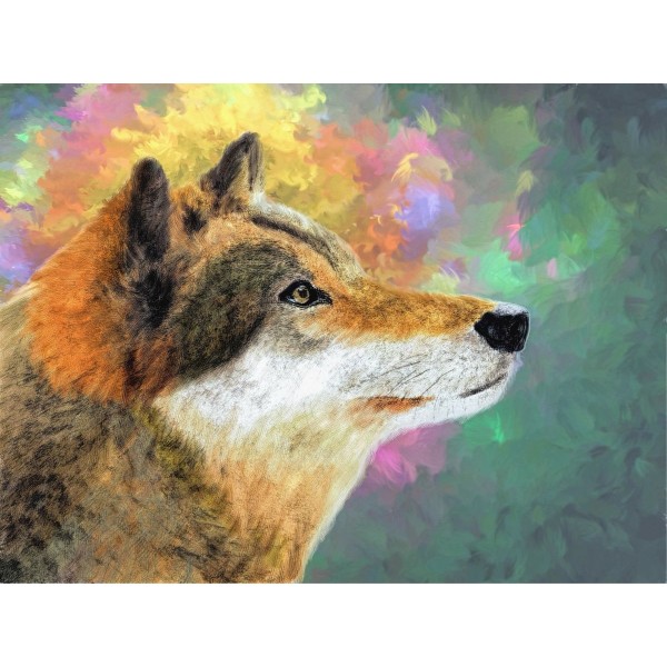 Cani 5d Diy Kit Diamond Painting Pittura Di Diamante NO2384