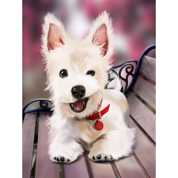 Cani 5d Diy Kit Diamond Painting Pittura Di Diamante NO2381