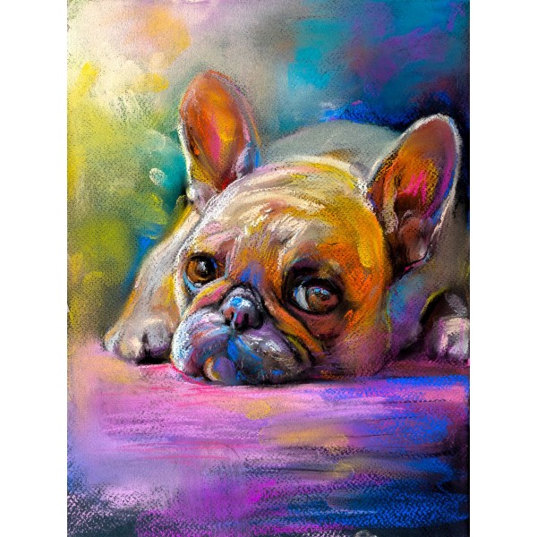 Cani 5d Diy Kit Diamond Painting Pittura Di Diamante NO2379