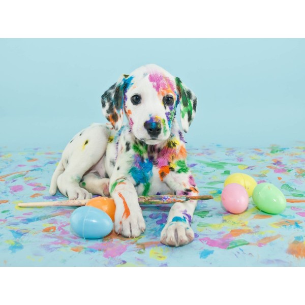 Cani 5d Diy Kit Diamond Painting Pittura Di Diamante NO2375