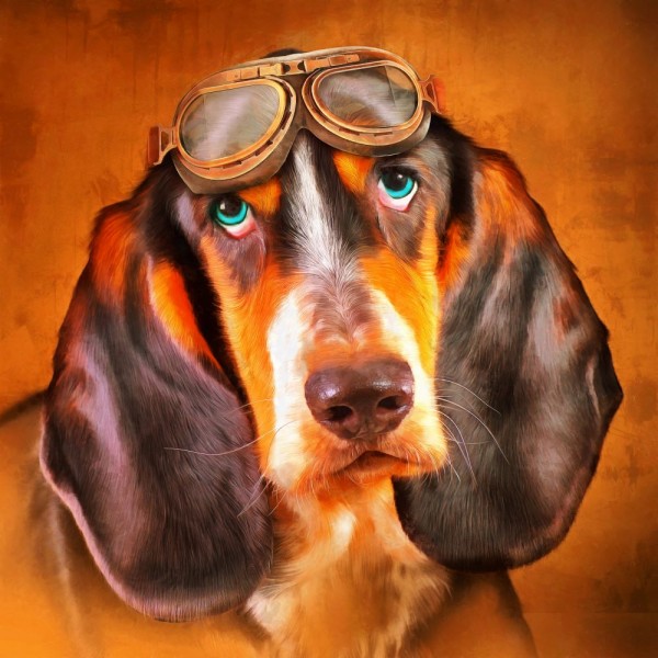 Cani 5d Diy Kit Diamond Painting Pittura Di Diamante NO2372