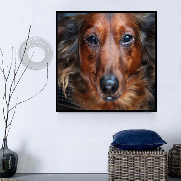 Cani 5d Diy Kit Diamond Painting Pittura Di Diamante NO2369