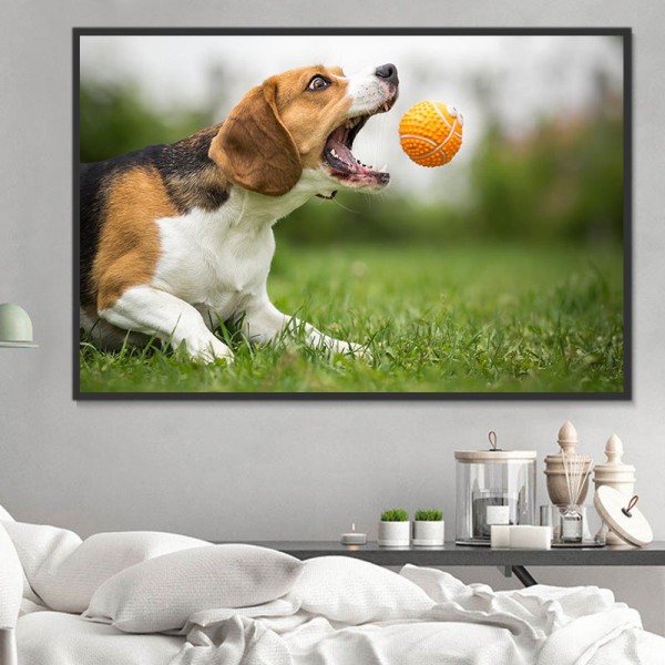 Cani 5d Diy Kit Diamond Painting Pittura Di Diamante NO2368