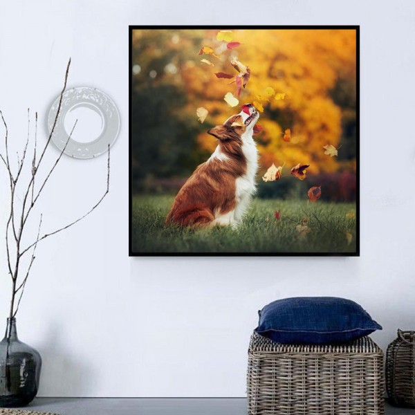 Cani 5d Diy Kit Diamond Painting Pittura Di Diamante NO2363