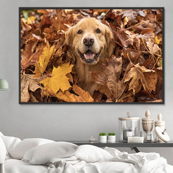 Cani 5d Diy Kit Diamond Painting Pittura Di Diamante NO2355