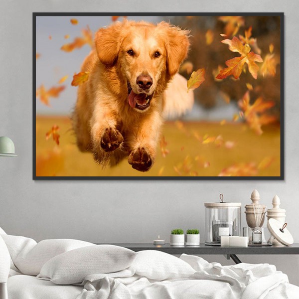 Cani 5d Diy Kit Diamond Painting Pittura Di Diamante NO2354