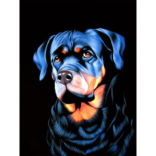 Cani 5d Diy Kit Diamond Painting Pittura Di Diamante NO2352