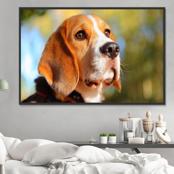 Cani 5d Diy Kit Diamond Painting Pittura Di Diamante NO2346