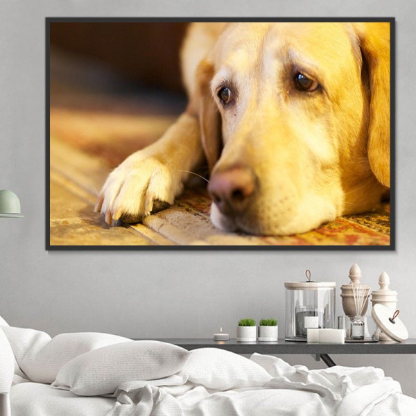 Cani 5d Diy Kit Diamond Painting Pittura Di Diamante NO2345