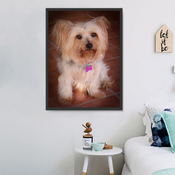 Cani 5d Diy Kit Diamond Painting Pittura Di Diamante NO2343