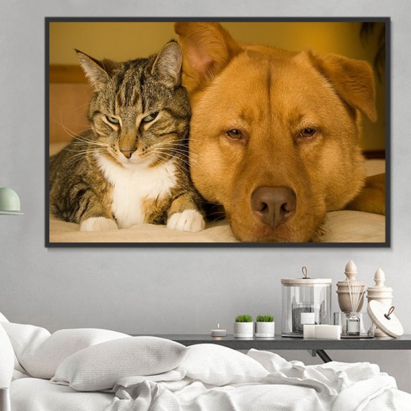 Cani 5d Diy Kit Diamond Painting Pittura Di Diamante NO2341