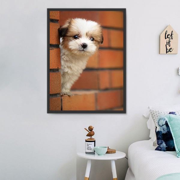 Cani 5d Diy Kit Diamond Painting Pittura Di Diamante NO2340