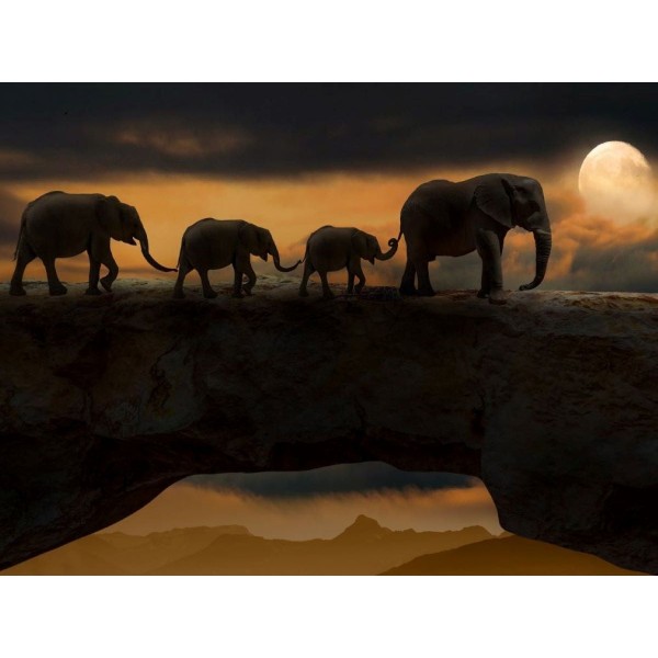 Elefante 5d Diy Kit Diamond Painting Pittura Di Diamante NO2281