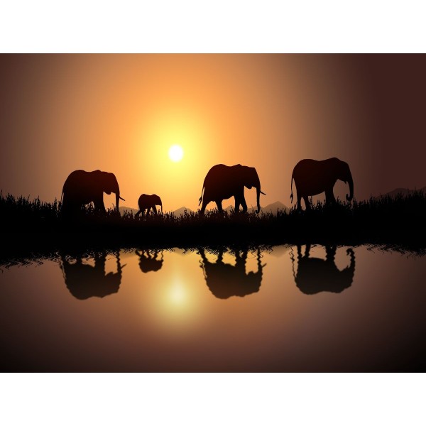 Elefante 5d Diy Kit Diamond Painting Pittura Di Diamante NO2278