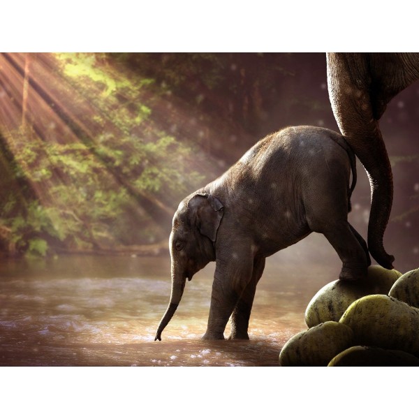 Elefante 5d Diy Kit Diamond Painting Pittura Di Diamante NO2276