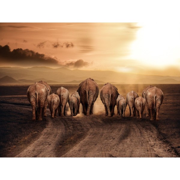 Elefante 5d Diy Kit Diamond Painting Pittura Di Diamante NO2275