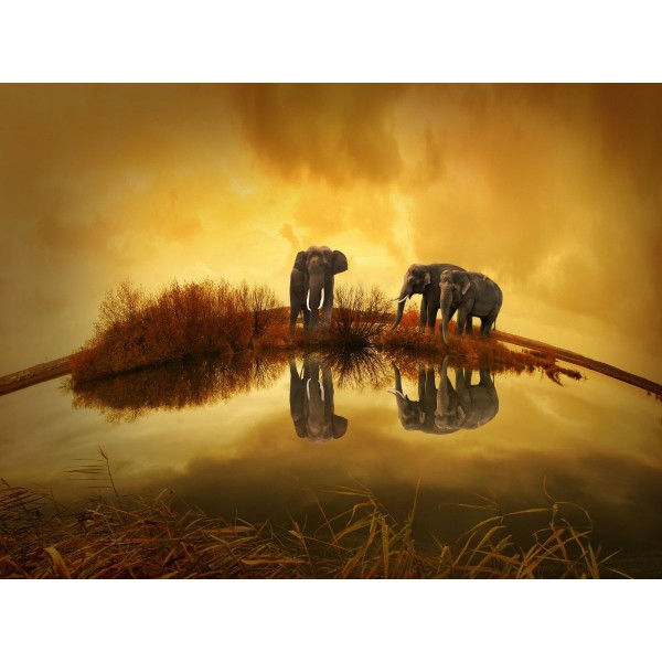 Elefante 5d Diy Kit Diamond Painting Pittura Di Diamante NO2271