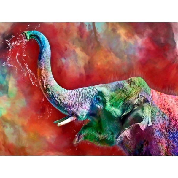 Elefante 5d Diy Kit Diamond Painting Pittura Di Diamante NO2263