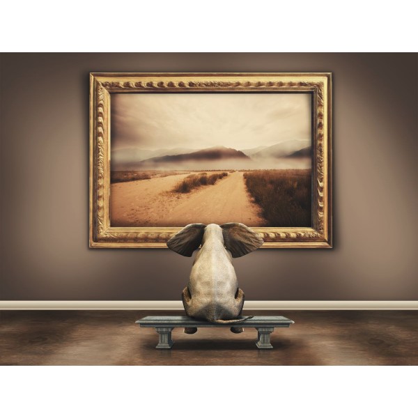 Elefante 5d Diy Kit Diamond Painting Pittura Di Diamante NO2261