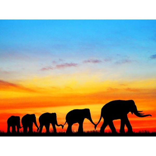 Elefante 5d Diy Kit Diamond Painting Pittura Di Diamante NO2260