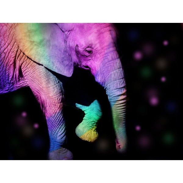 Elefante 5d Diy Kit Diamond Painting Pittura Di Diamante NO2257