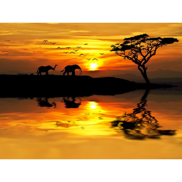 Elefante 5d Diy Kit Diamond Painting Pittura Di Diamante NO2256