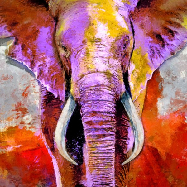 Elefante 5d Diy Kit Diamond Painting Pittura Di Diamante NO2251