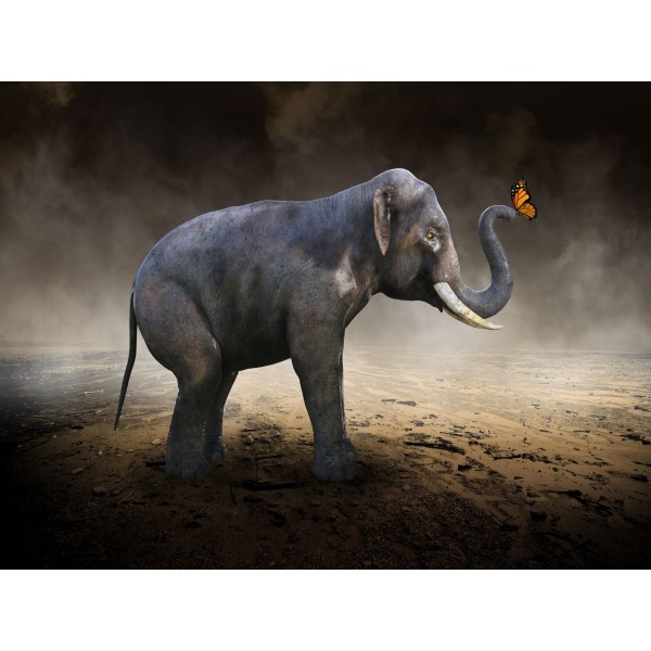 Elefante 5d Diy Kit Diamond Painting Pittura Di Diamante NO2248